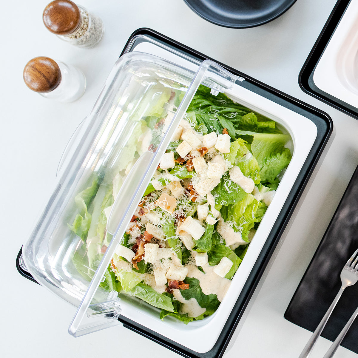 Today's most versatile gastronorm sizing buffetware equipment that can keep cold foods fresh at 4ºC (39ºF) without wet ice, or cooked gourmet hot at 80ºC (176ºF) without dangling cords or chafing fuels.